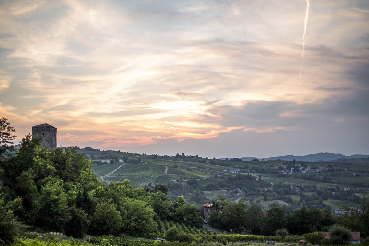 Azienda Agricola Beltrami Vini