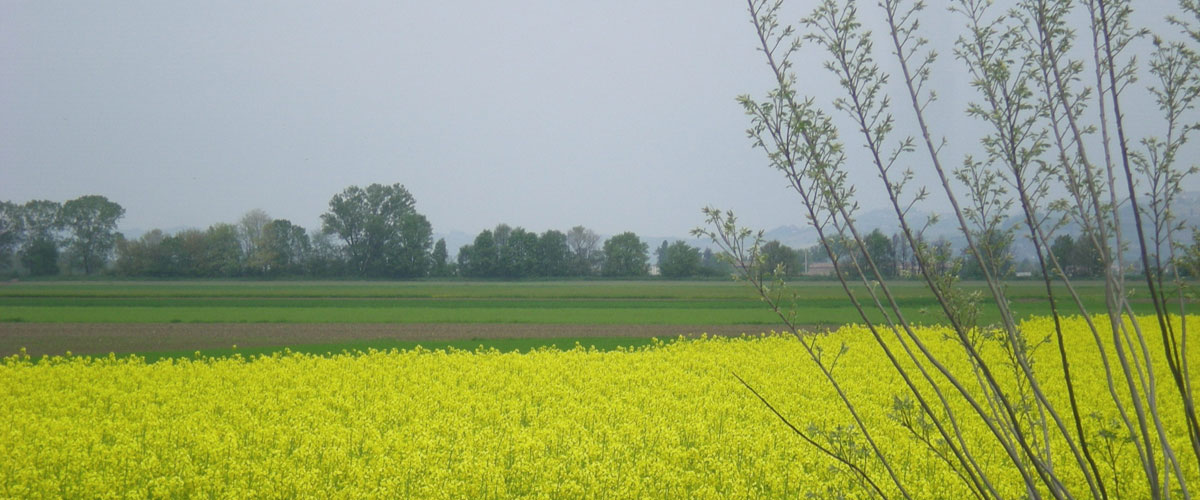 Agriturismo Duronetta