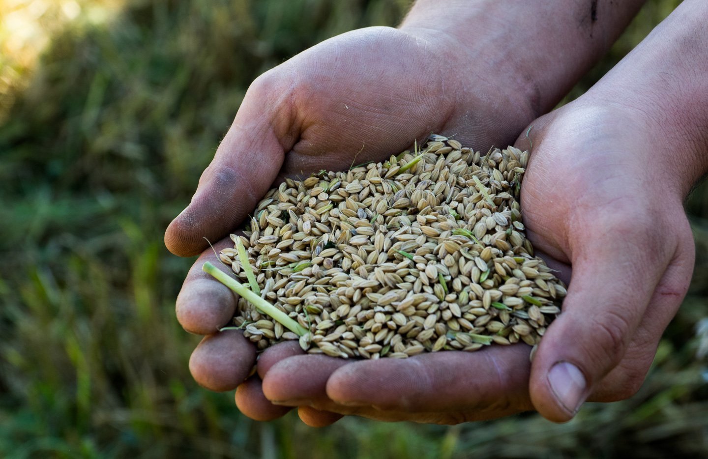 Azienda Agricola I Dossi