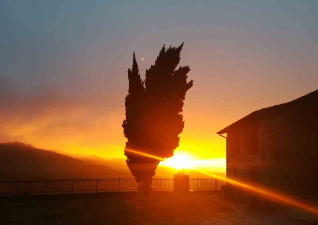 Azienda Agricola Belvedere di Nebiolo