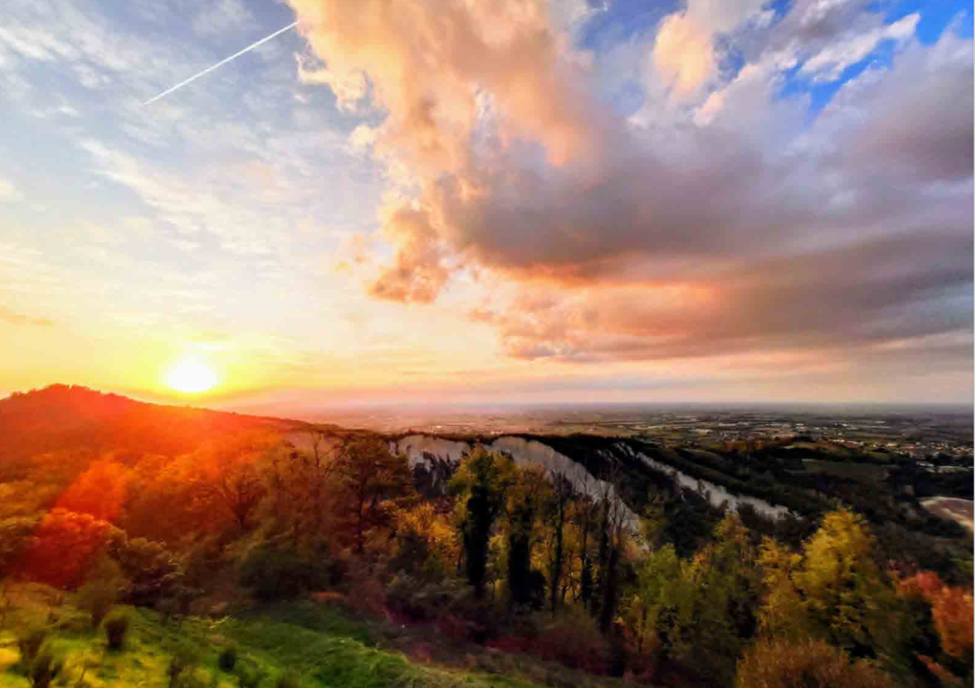 Azienda Agricola Belvedere di Nebiolo