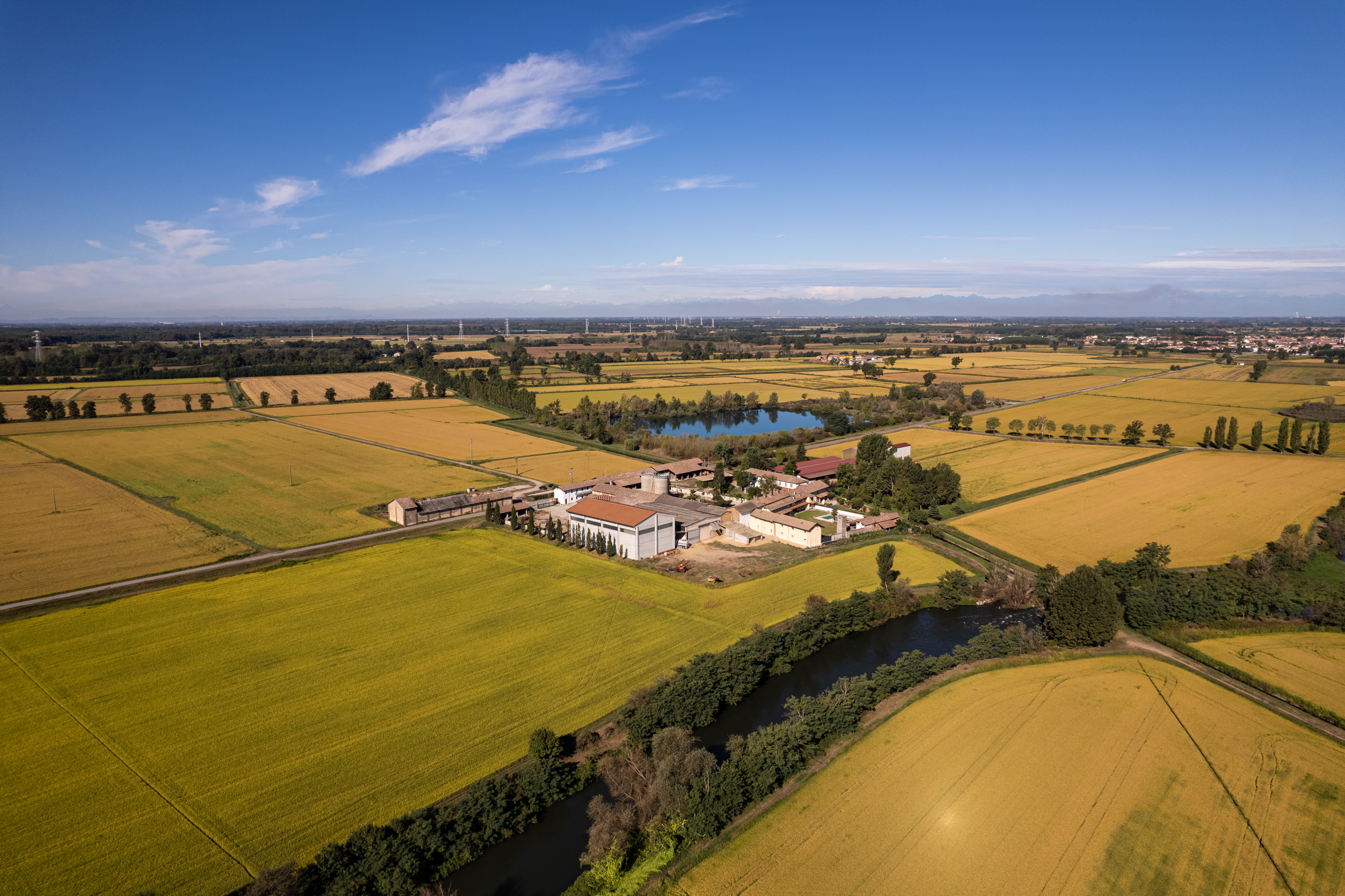 SOCIETA' AGRICOLA SPINA GIUSEPPE E FIGLI DI PIERO PAOLO E ALBERTO SPINA