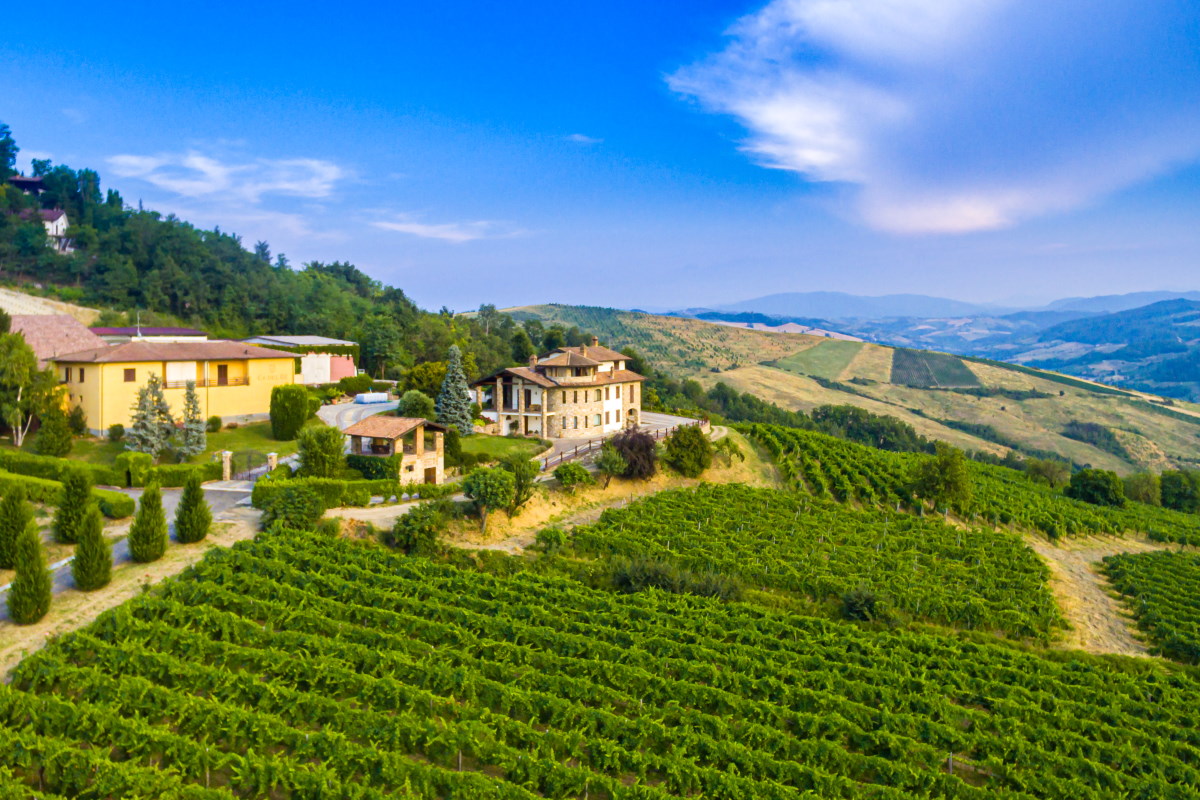 AZIENDA AGRICOLA CA’ DEL GE’