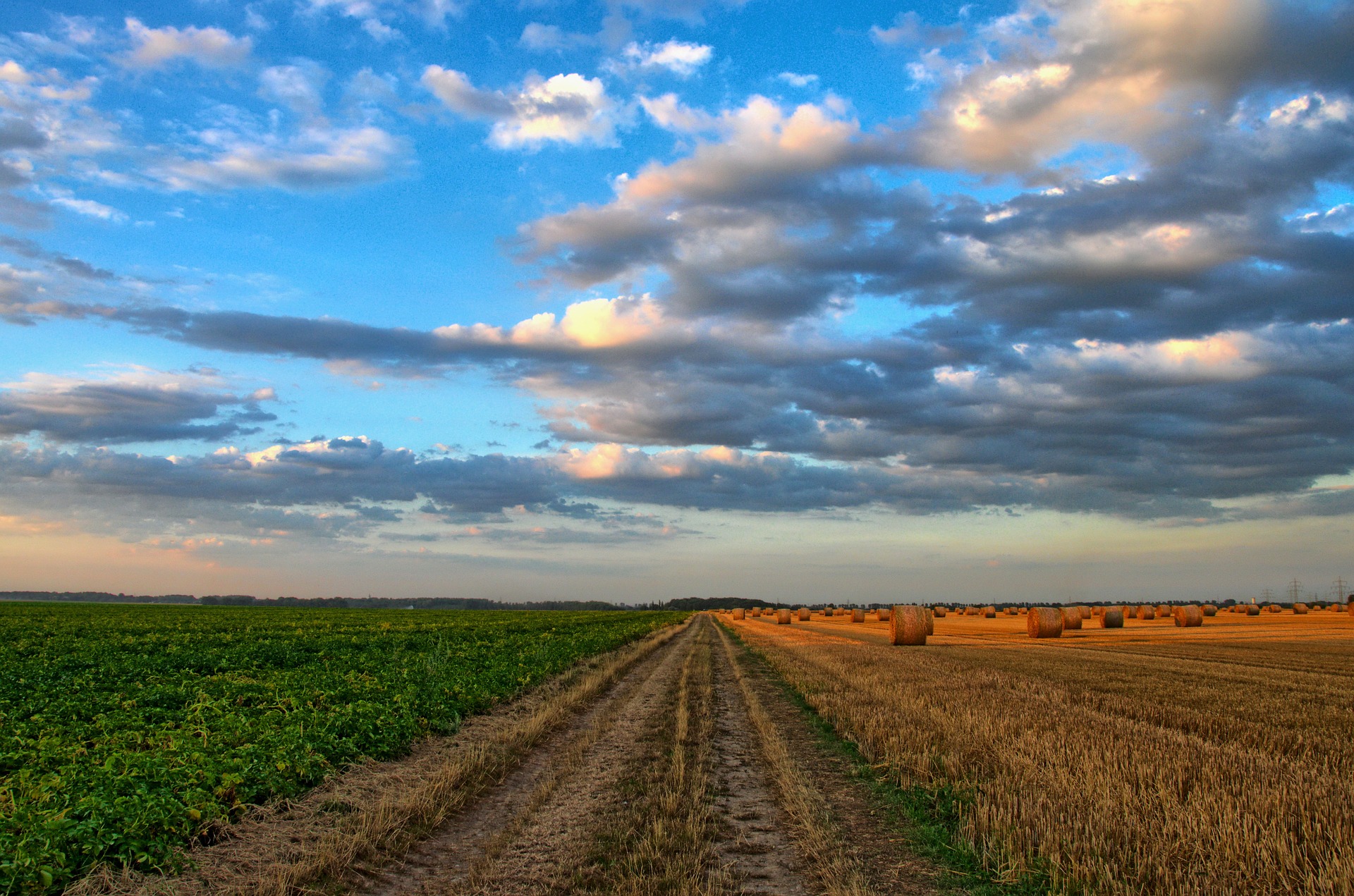 PARTE IL CENSIMENTO AGRICOLO DI ISTAT. I CAA DI CONFAGRICOLTURA PRONTI AD ASSISTERE LE AZIENDE