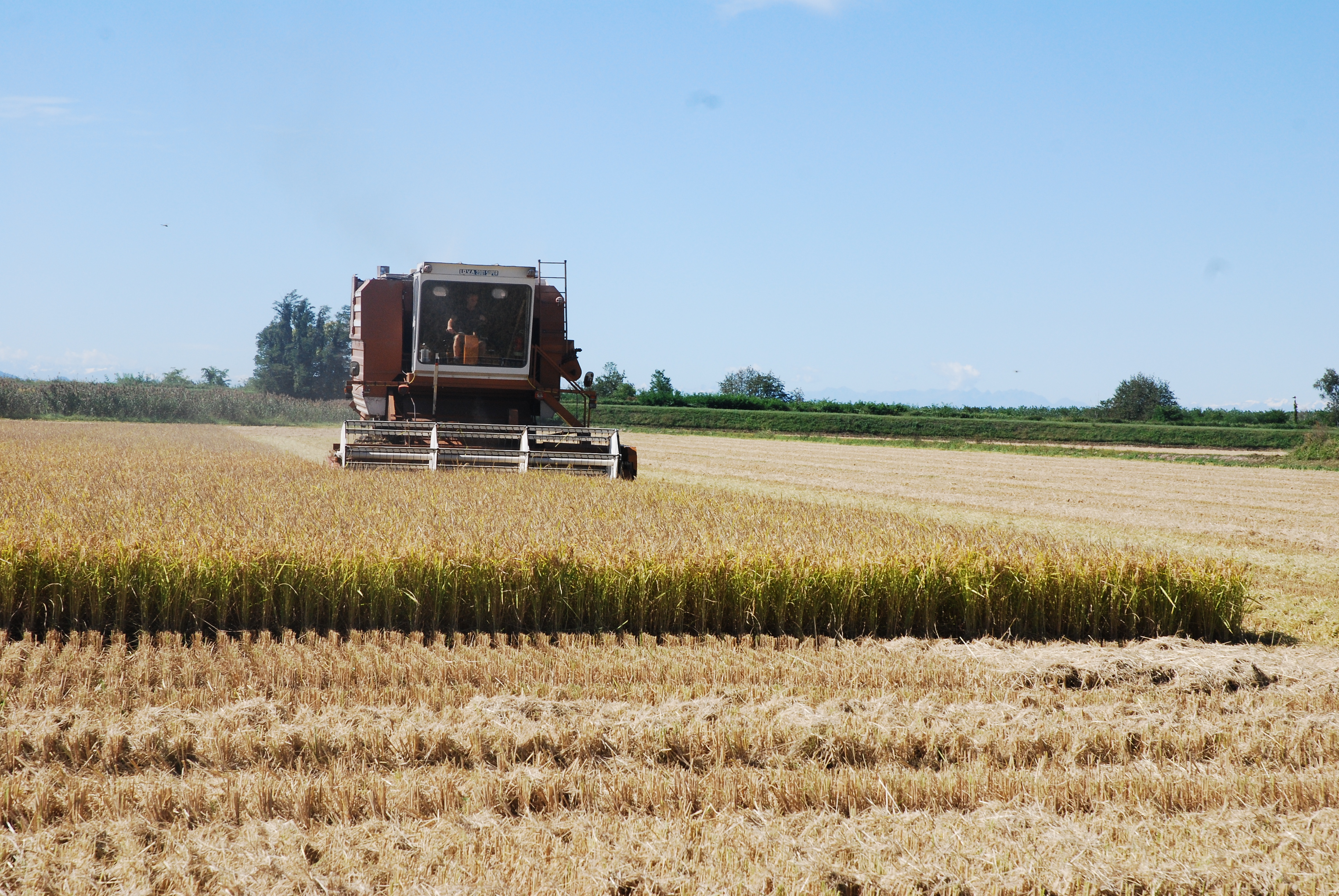 AGRICOLTURA BIOLOGICA: CONFAGRICOLTURA SI OPPONE AL RITORNO DEI PAP