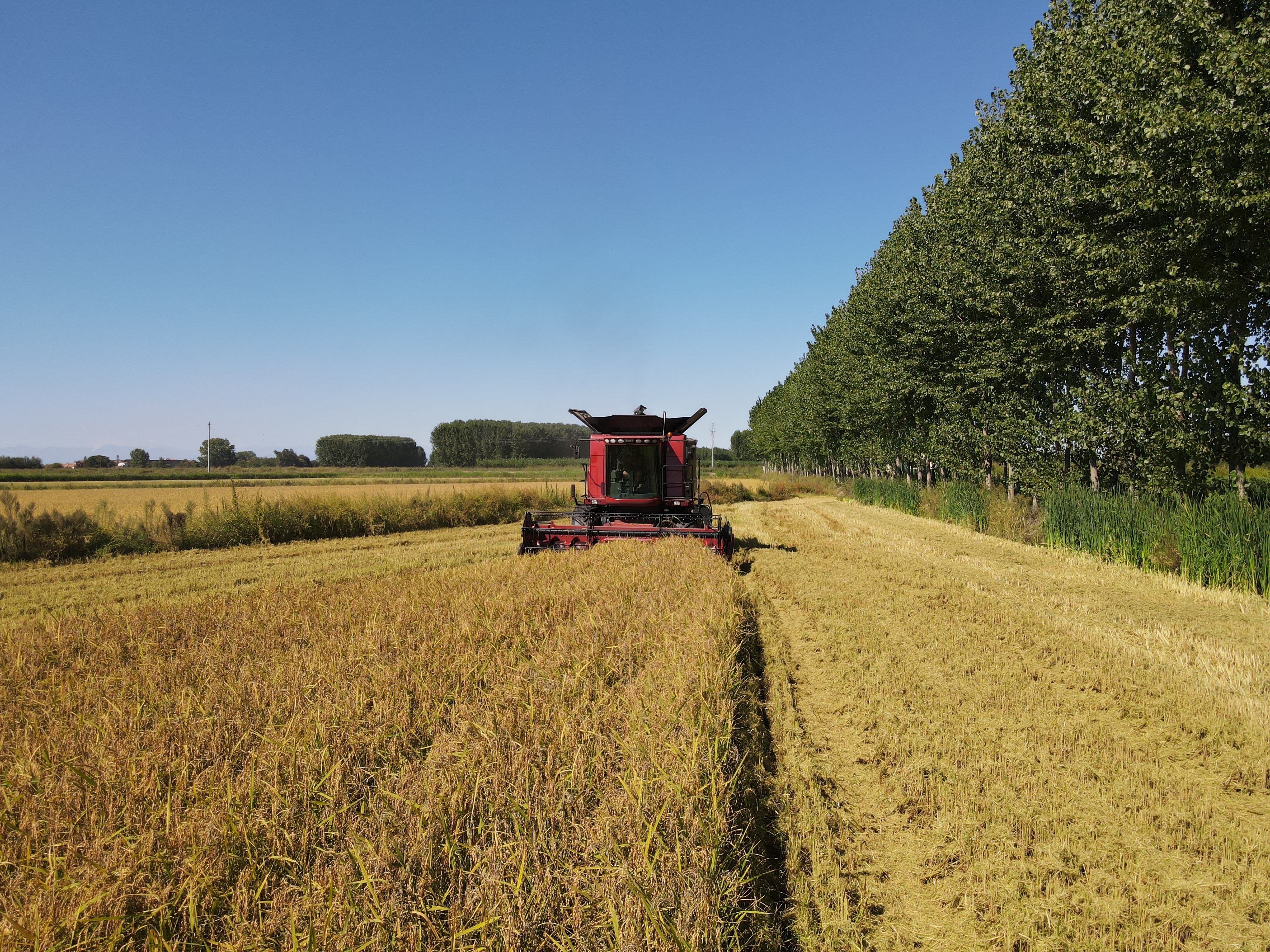 Confagricoltura Pavia scrive al Consorzio del Ticino e ai Consorzi Irrigui -  Richiesto incontro urgente