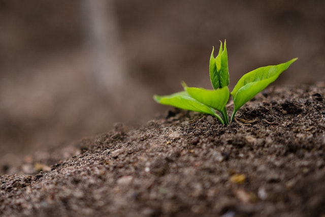 EARTH DAY: GIORNATA IMPORTANTE PER RICORDARE IL RUOLO DEL SETTORE PRIMARIO