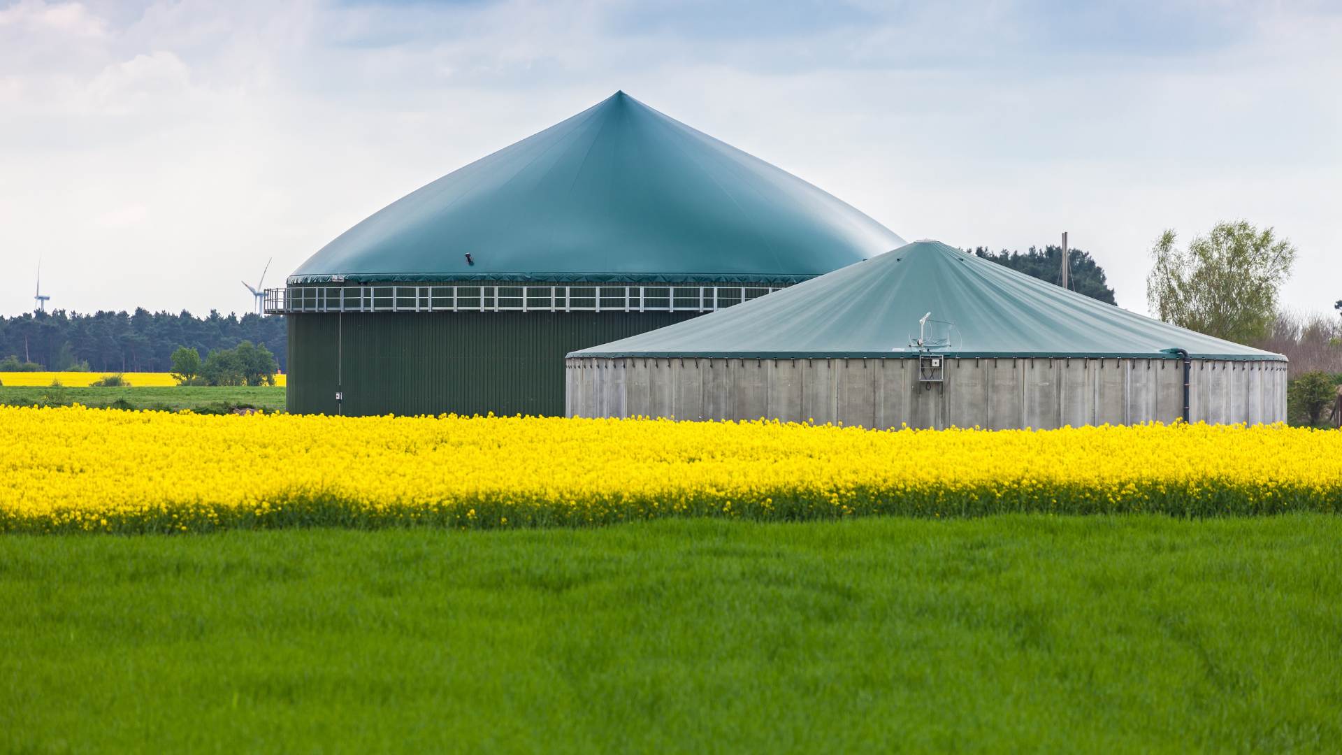 BIOGAS, L’AGENZIA DELLE ENTRATE CONFERMA IL CRITERIO DI TASSAZIONE INDICATO DA CONFAGRICOLTURA. SODDISFAZIONE DEI PRODUTTORI 
