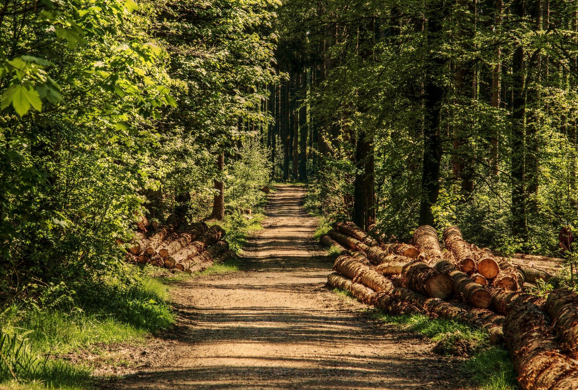 Pagamento compensativo per le zone agricole Natura 2000