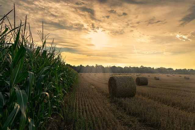 Analisi di dettaglio delle riserve idriche in ambito agricolo, situazione al 18 settembre 2026