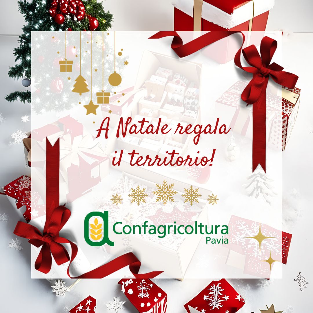 Foto articolo