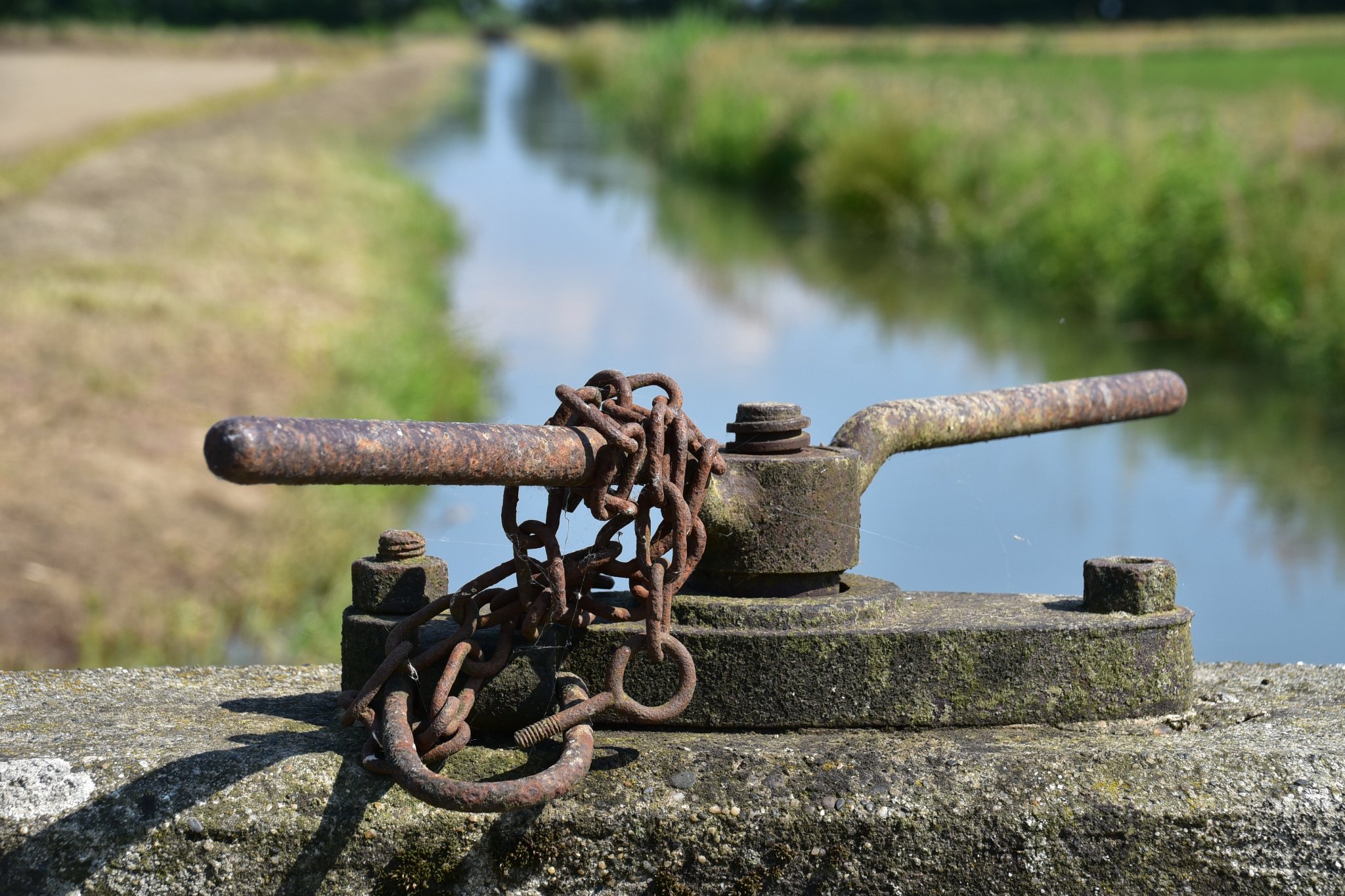 Omogeneità e coraggio gestionale: l’innovazione irrigua coerente con la storia