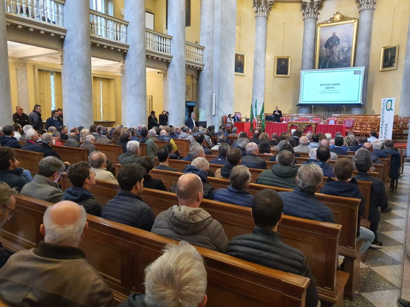 Foto articolo